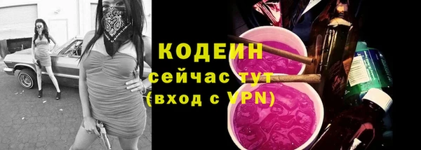 дурь Заводоуковск