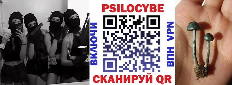 где купить наркотик  Могоча  Галлюциногенные грибы мухоморы 